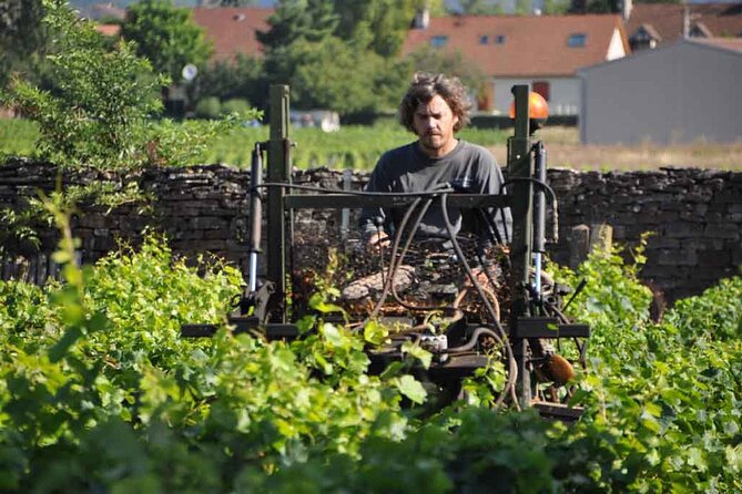 Small-Group Full-Day Tour of Côte De Nuits, Côte De Beaune Vineyards and Beaune Historical District - Common Questions