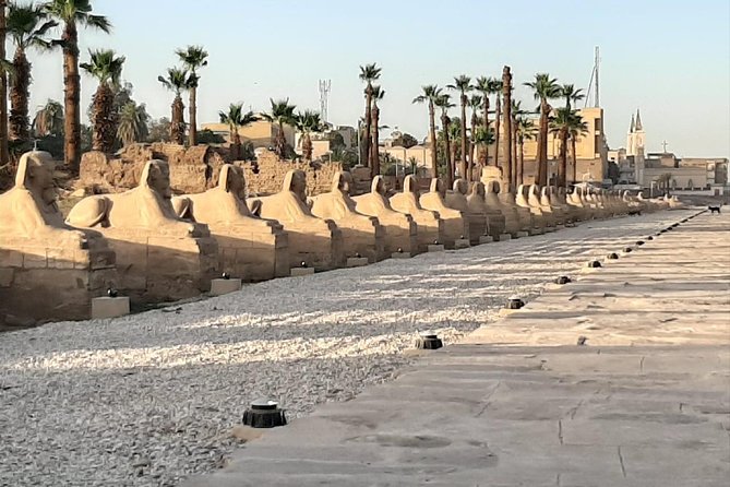 Small Group Full Day Trip to Luxor From Hurghada With Lunch - Traveler Photos and Reviews