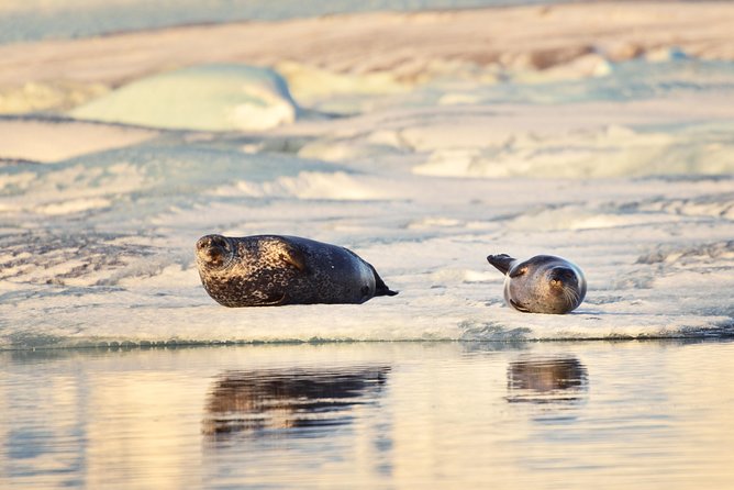 Small-Group Glacier Lagoon (Jokulsarlon) Day Trip From Reykjavík - The Sum Up