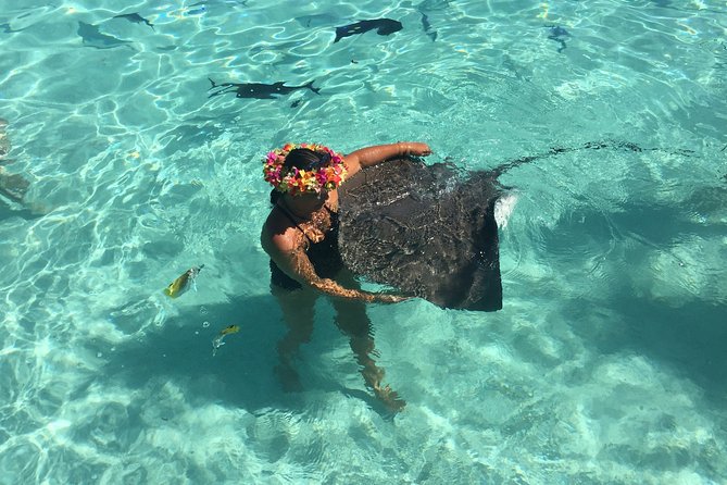 Small-Group Glass Bottomed Boat Tour With Snorkeling, Moorea - Common Questions