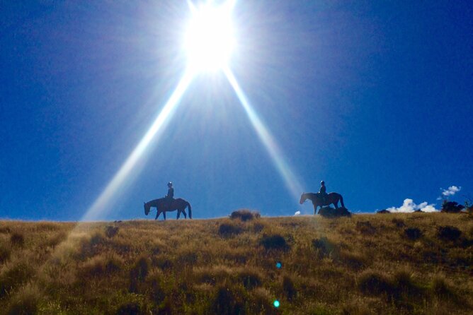 Small-Group Gold Discovery Horse Riding in Cardrona Valley - Overview and Details