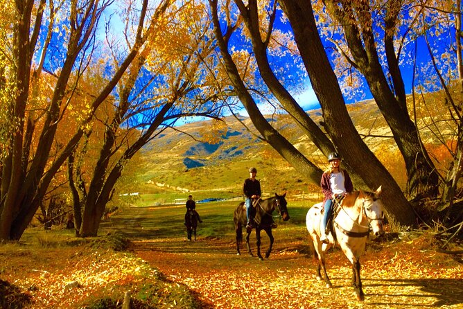 Small-Group Gold Discovery Horse Riding in Cardrona Valley - The Sum Up