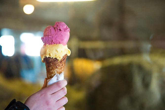 Small-Group Golden Circle Full-Day Tour From Reykjavik - From .99