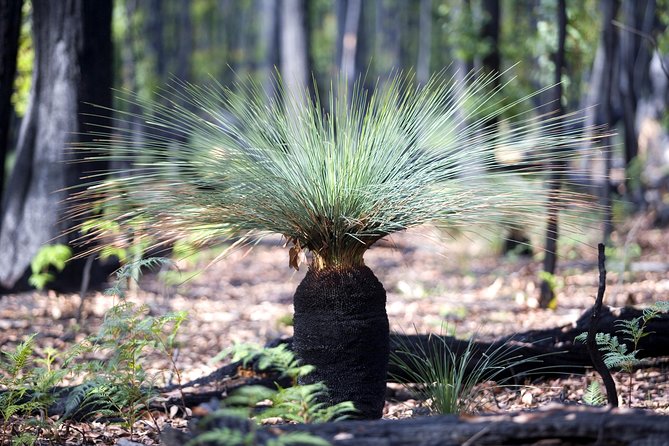 Small-Group Grampians Great Wilderness Escape Day Trip With Hiking - Brambuk Aboriginal Cultural Centre