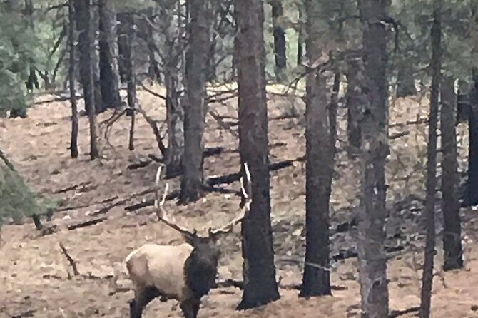 Small Group Grand Canyon Day Trip from Sedona - Frequently Asked Questions