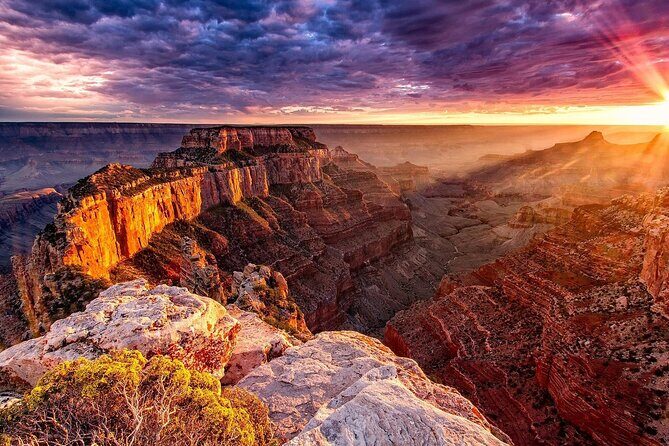 Small Group Grand Canyon, Hoover Dam and Joshua Tree Forest Tour - Good To Know