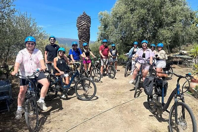 Small Group Guided E-bike Tour in Nices Organic Vineyard - Wine Tasting Experience