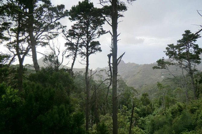 Small Group Guided Hiking in Anaga Rural Park in Tenerife - Additional Information