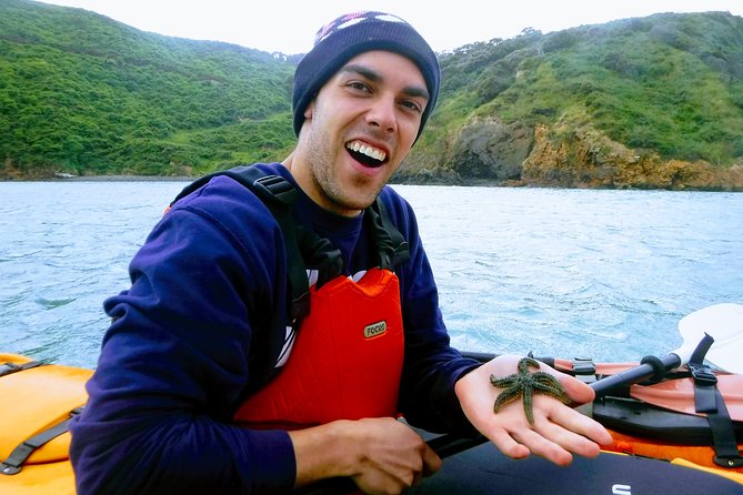 Small Group Guided Sea Kayaking in Akaroa Marine Reserve - Important Information for Participants