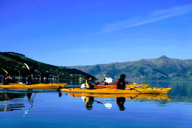 Small Group Guided Sea Kayaking in Akaroa Marine Reserve - The Sum Up