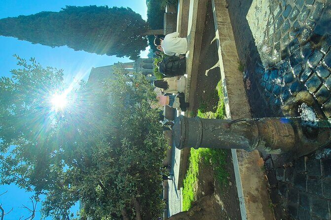 Small Group Guided Tour Colosseum Roman Forum & Palatine Hill - Authentic Insights from Reviews