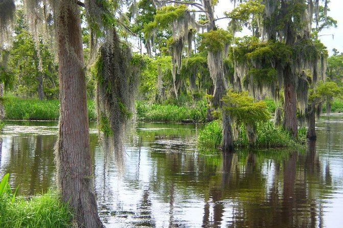 Small-Group Half-Day Airboat Swamp Adventure & Plantation Tour From New Orleans - Tour Details and Booking Information