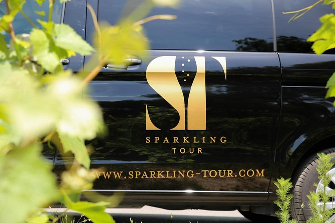 Small Group - Half Day Champagne Tour - Visit of 2 Small Producers/Growers - Immersive Tour Overview