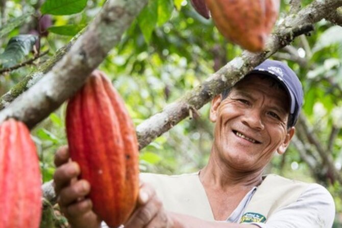 Small Group Half Day - Cultural Experience Higuey City - Pricing and Booking Information