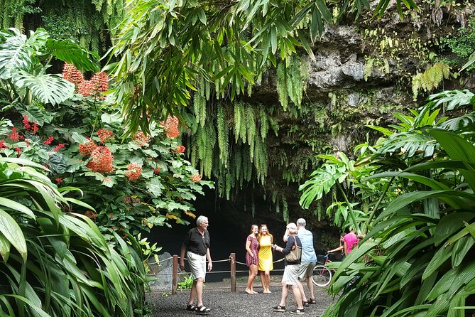 Small-Group Half-Day Highlights of Tahiti Tour  - Papeete - Traveler Reviews and Positive Highlights