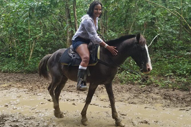 Small-Group Half-Day Horseback Riding Tour from Punta Cana - Why You’ll Love This Horseback Riding Tour