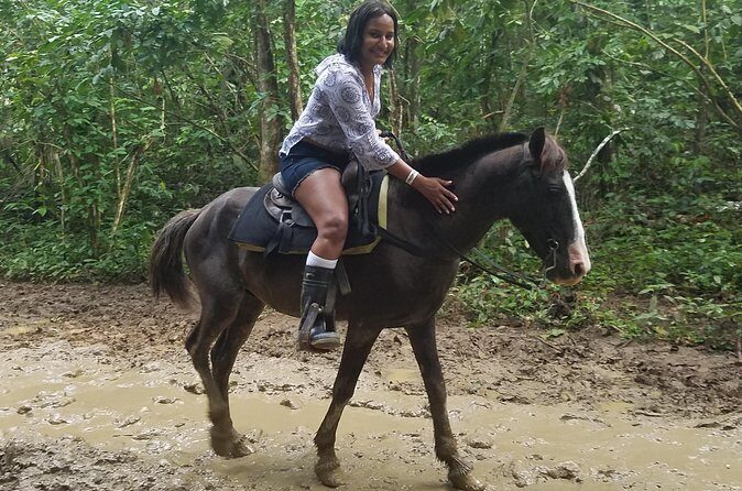 Small-Group Half-Day Horseback Riding Tour from Punta Cana - Authentic Experiences from Real Travelers