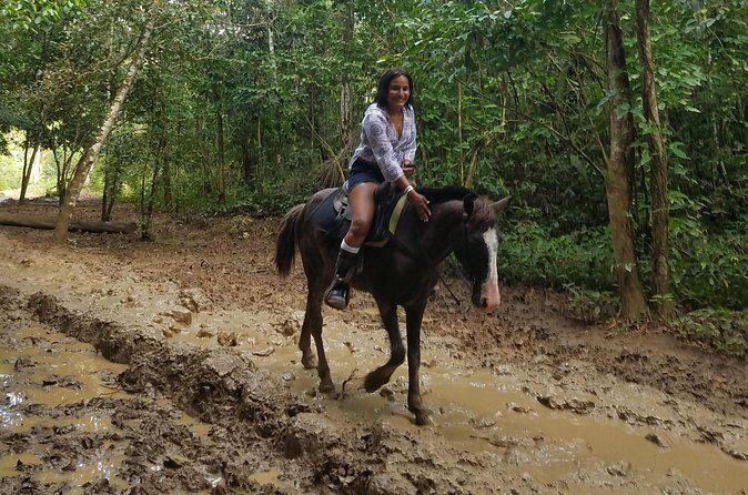 Small-Group Half-Day Horseback Riding Tour from Punta Cana - FAQ