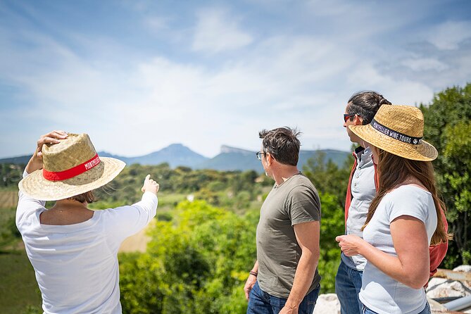 Small-Group Half-Day Languedoc Pic Saint-Loup Wine Tour From Montpellier - Traveler Reviews and Recommendations