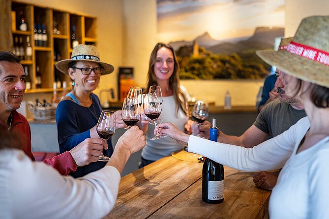 Small-Group Half-Day Languedoc Pic Saint-Loup Wine Tour From Montpellier - Wine Tasting and Vineyard Visits