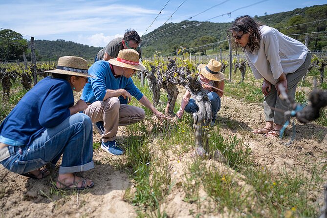 Small-Group Half-Day Languedoc Pic Saint-Loup Wine Tour From Montpellier - Common Questions