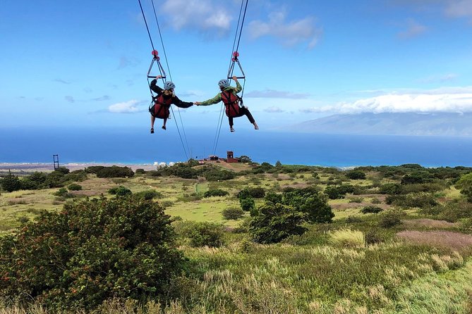 Small-Group Half-Day Maui Zipline Tour - Tour Pricing and Company Information