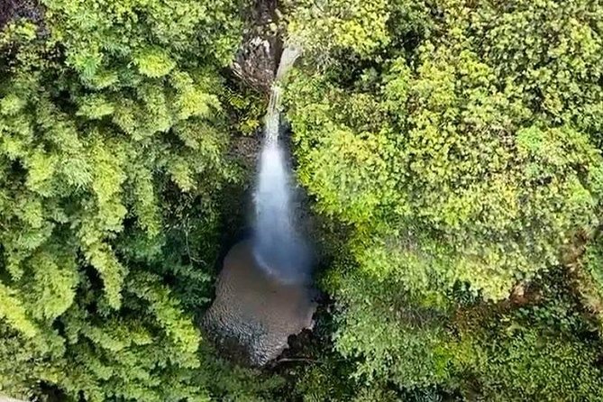 Small-Group Half-Day Maui Zipline Tour - ATV Ride Through the Rainforest