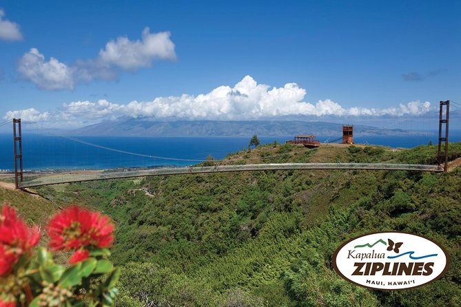 Small-Group Half-Day Maui Zipline Tour - Important Considerations for Participants