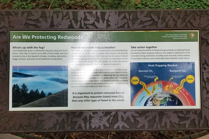 Small Group Half Day Muir Woods and Sausalito Afternoon Tour - Common Questions