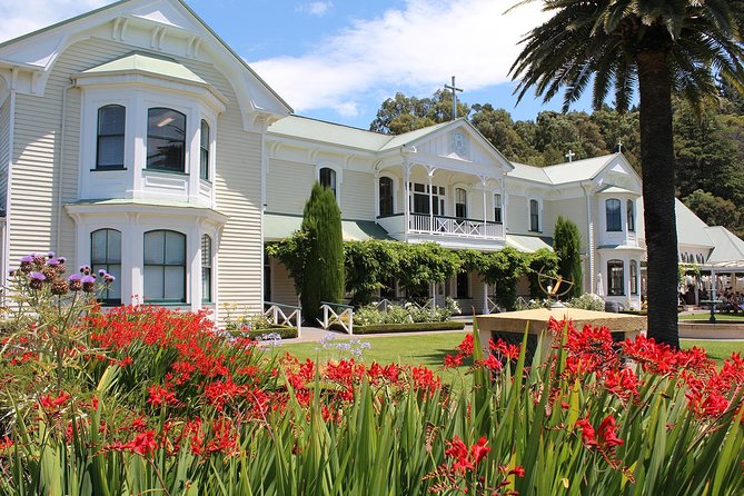 Small Group Half-Day Napier Wine Experience Tour - Tour Details