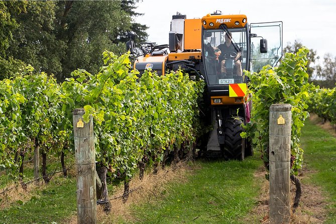 Small Group Half-Day Napier Wine Experience Tour - Tour Itinerary