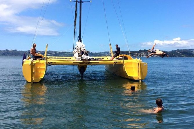 Small-Group Half-Day Sailing Tour With Snorkeling, Cooks Beach  - Whitianga - The Sum Up