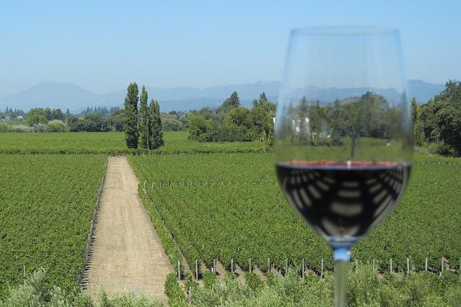 Small Group Half Day Sonoma Wine Country Tour 2 Tastings Included - Positive Customer Reviews