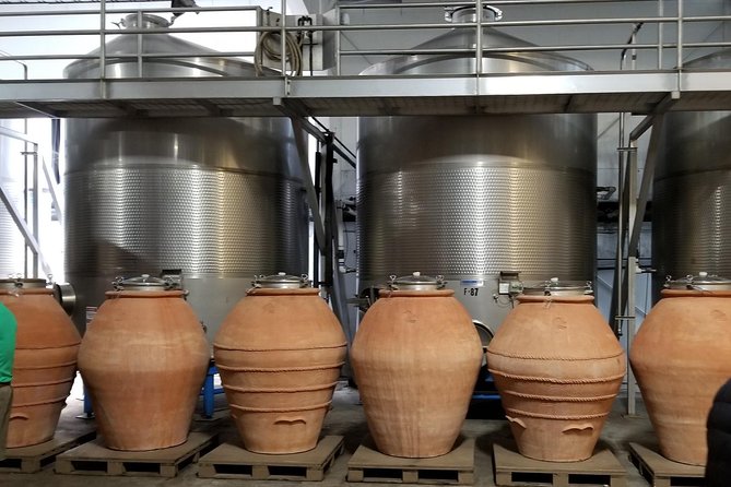 Small Group Half Day Sonoma Wine Country Tour 2 Tastings Included - The Sum Up