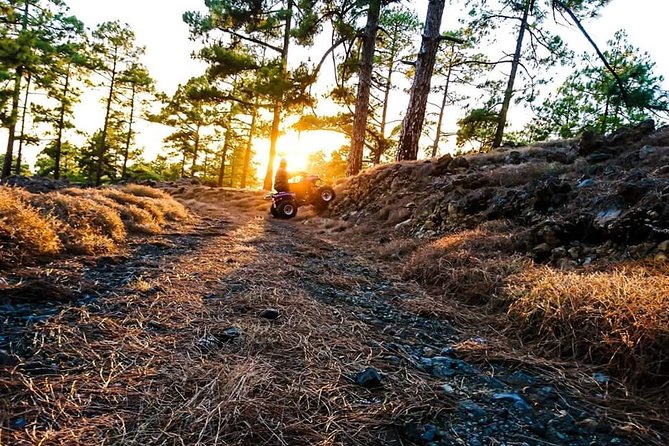 Small-Group Half-Day Tiede National Park ATV Excursion  - Tenerife - Common Questions