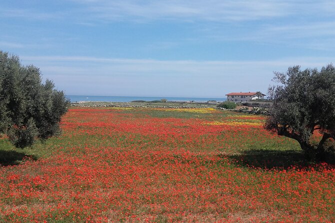Small Group Half Day Tour of POLIGNANO a MARE and MONOPOLI - Pickup Information