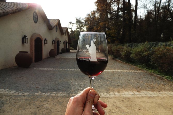 Small-Group Half Day Tour to Concha Y Toro Winery - Frequently Asked Questions