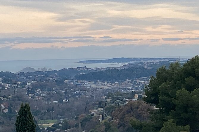 Small-Group Half-Day Tour to St-Paul-De-Vence, Antibes and Cannes From Nice - Additional Information and Contact Details