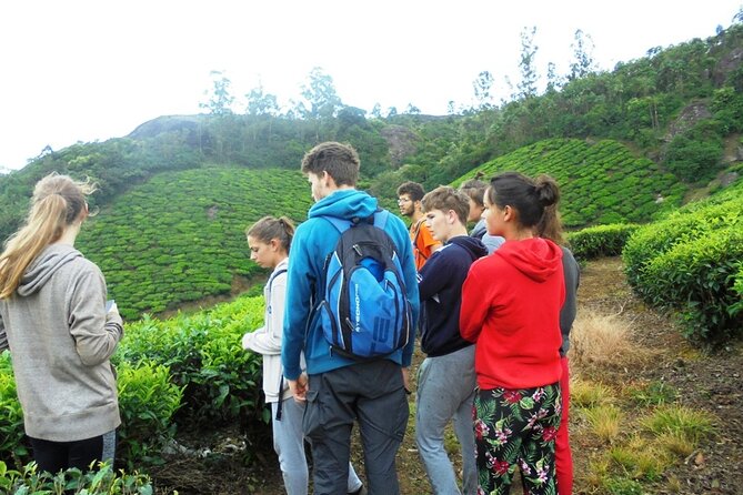 Small-Group Half Day Trekking in Munnar With Breakfast - End Point and Traveler Information