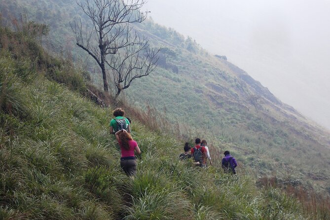 Small-Group Half Day Trekking in Munnar With Breakfast - Frequently Asked Questions