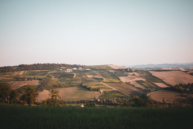 Small-Group Half-Day Wine Tour With Tasting in Dozza Village - Additional Information and Support