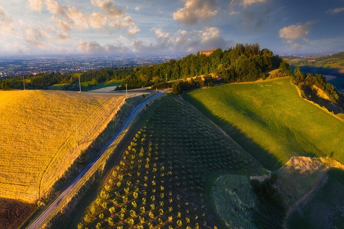 Small-Group Half-Day Wine Tour With Tasting in Dozza Village - Directions