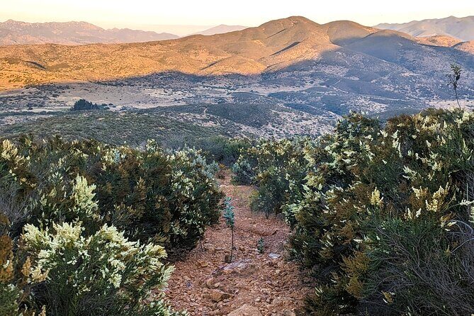 Small Group Hike Through San Diego's Heart and Soul - Good To Know