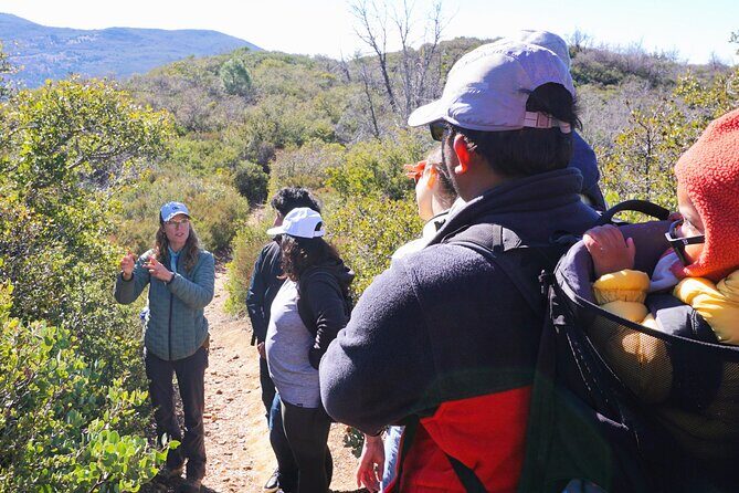 Small Group Hike Through San Diego's Heart and Soul - An Introduction to San Diego’s Natural and Cultural Tapestry