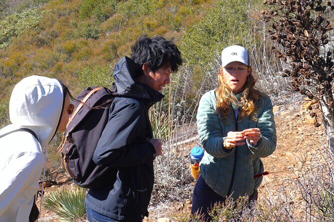 Small Group Hike Through San Diego's Heart and Soul - Who Will Love This Tour?