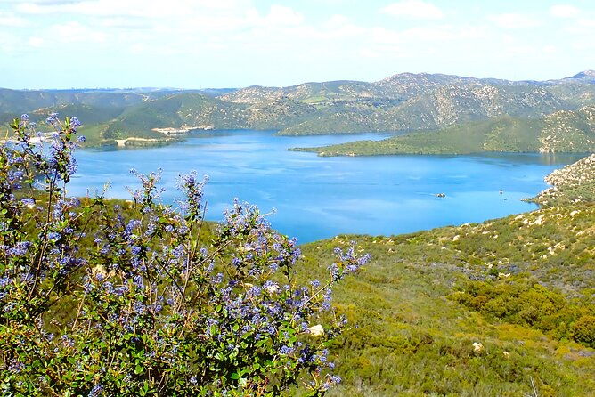 Small Group Hike Through San Diego's Heart and Soul - An In-Depth Look at the Itinerary