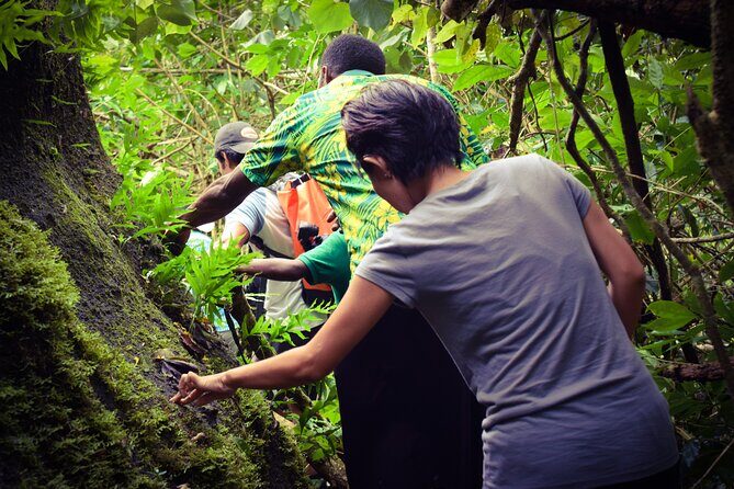 Small Group Hiking Adventure - Hidden Peaks - FAQ