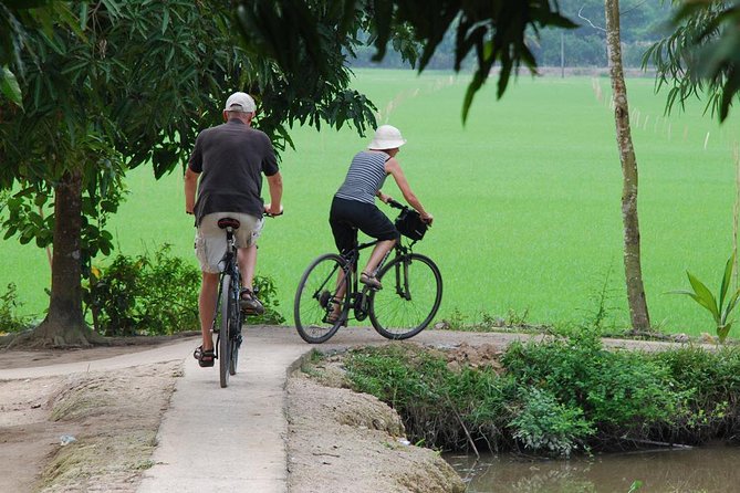 Small-Group Hoa Lu - Tam Coc Day Tour From Hanoi - Infant-Friendly Amenities on the Tour