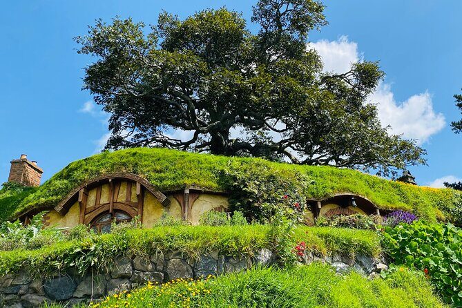 Small Group Hobbiton Movie Set from Tauranga - Good To Know