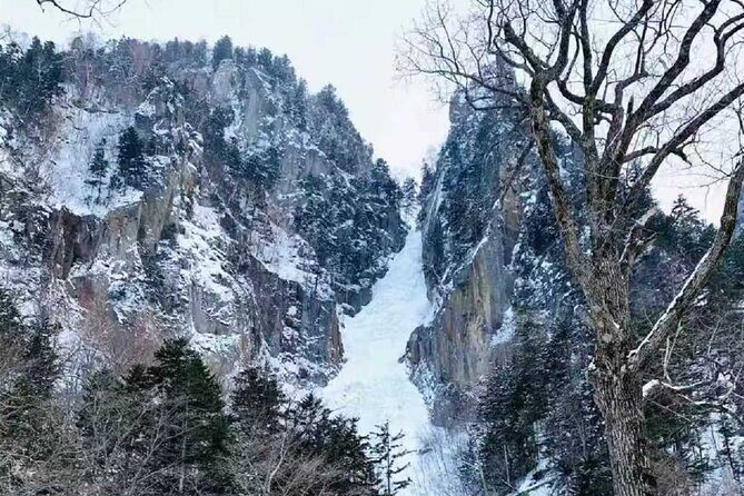 Small Group Hokkaido Sapporo Abashiri 9-Guest 2-Day Tour - Authentic Experiences and What Reviewers Say